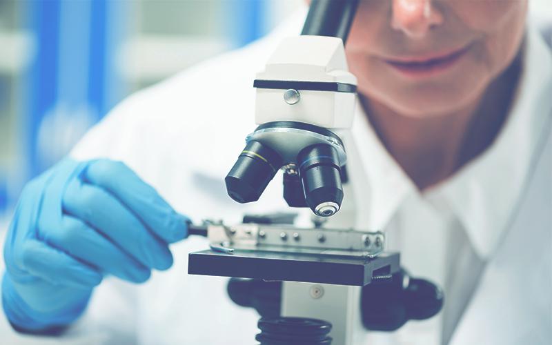 「人間福報」喬本頂級台灣牛樟芝 打造健康防護罩 會員優惠回饋