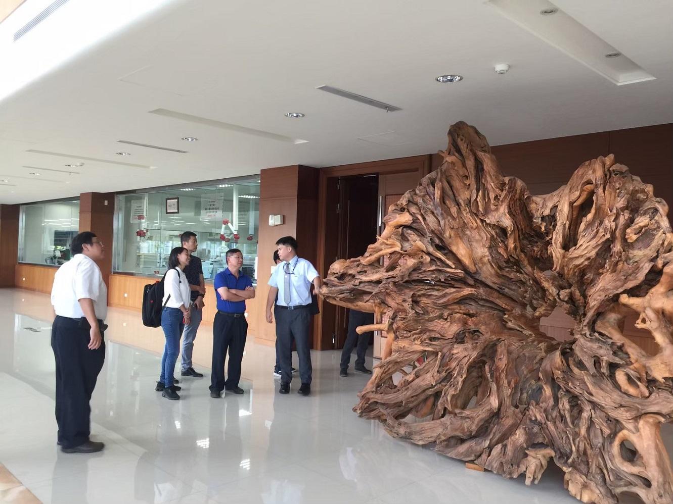 歡迎中國熱帶農業科學院 馬子龍書記等一行領導蒞臨